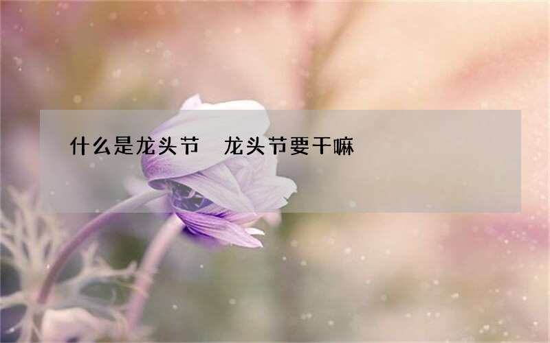 什么是龙头节 龙头节要干嘛